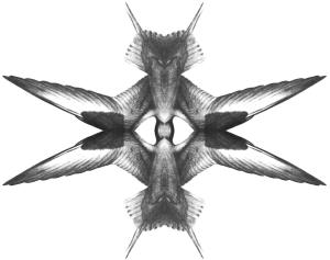 What You Can Never Refuse